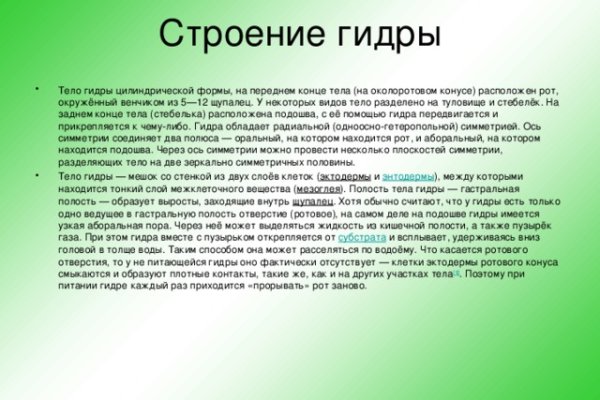 Сайт кракен через тор